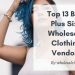 plus size wholesale clothing vendors